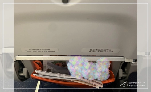 A320neo 背後置物袋